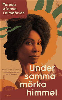 Under samma mörka himmel 