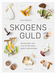 Skogens guld