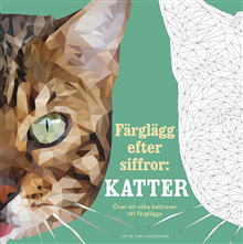 Färglägg efter siffror